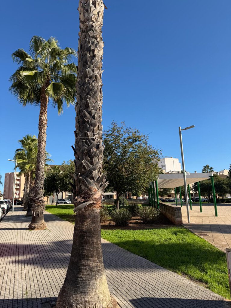 Atico en Inca con terraza y dos plazas de parking