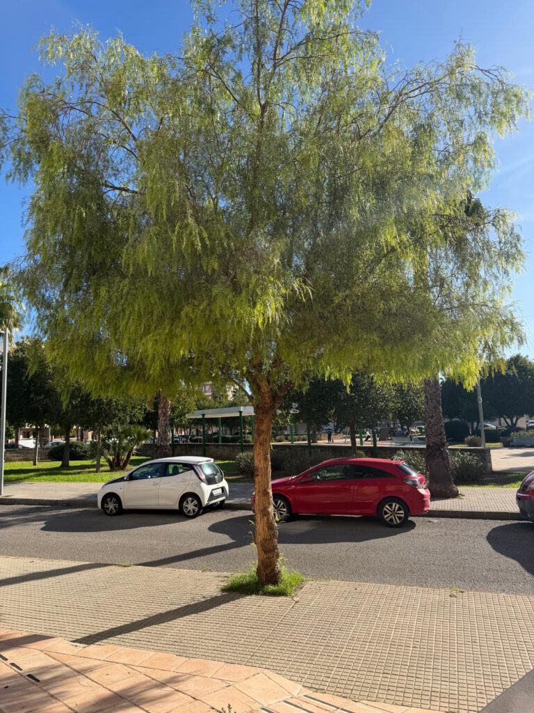 Atico en Inca con terraza y dos plazas de parking